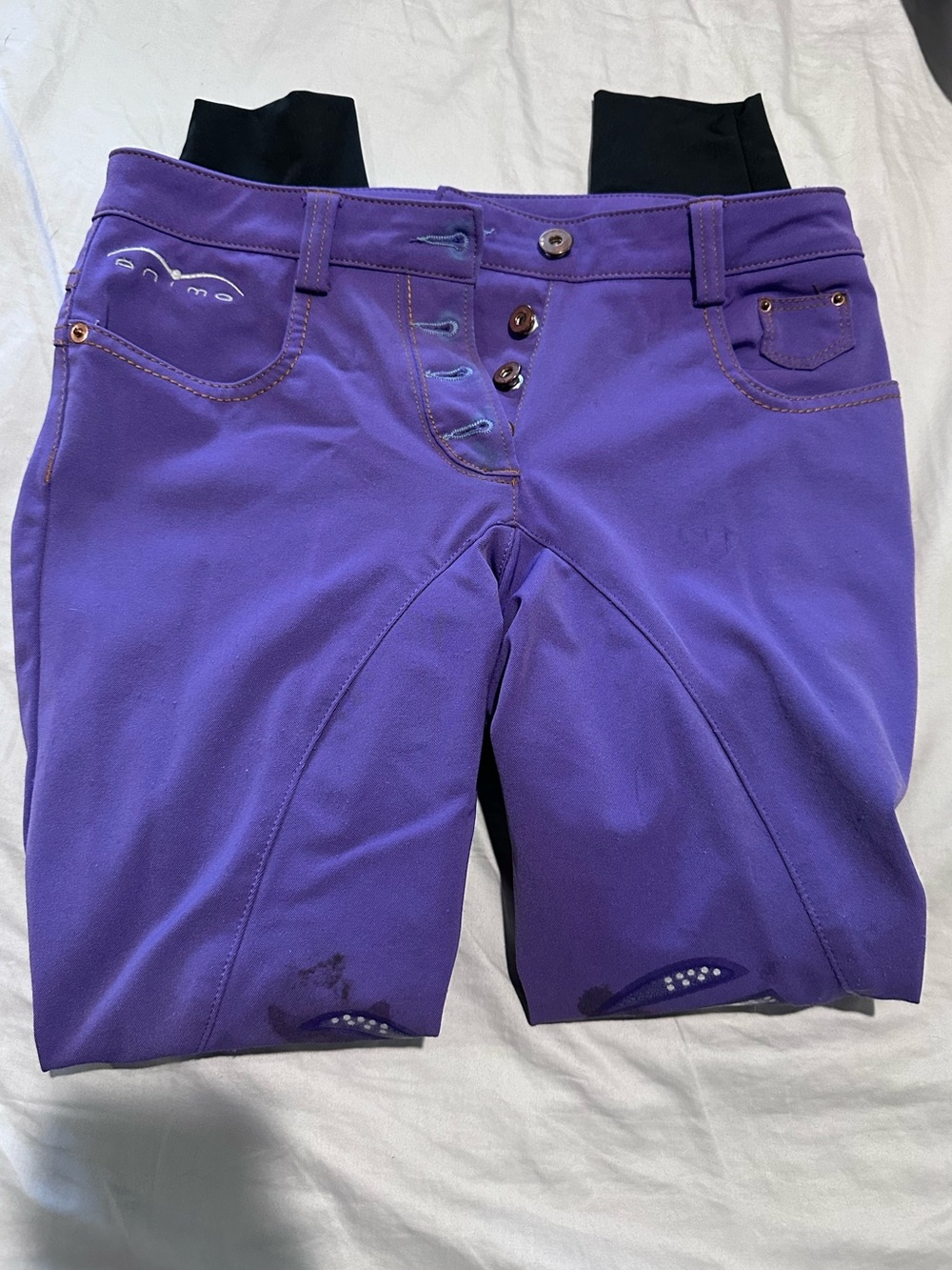 Purple Animo Equestrian Breeches - I-40
